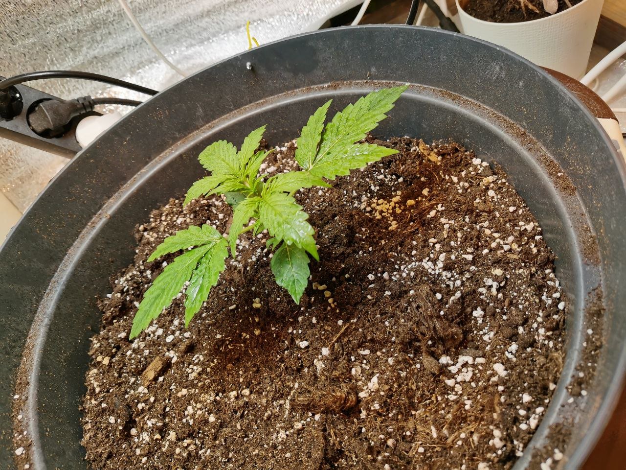 9 — копия.jpg