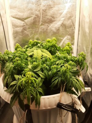 20221211_085426.jpg 20221211_085426.jpg