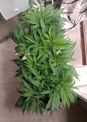 imgonline-com-ua-dexifWEEWEhsjhmZm.jpg imgonline-com-ua-dexifWEEWEhsjhmZm.jpg