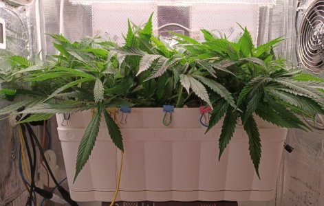 imgonline-com-ua-dexifpwoZVwh5iOVm.jpg imgonline-com-ua-dexifpwoZVwh5iOVm.jpg