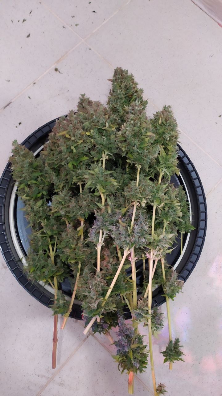 photo_2022-12-12_18-08-30 (2).jpg