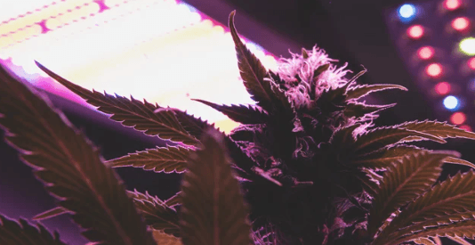 1670856570279.png 1670856570279.png