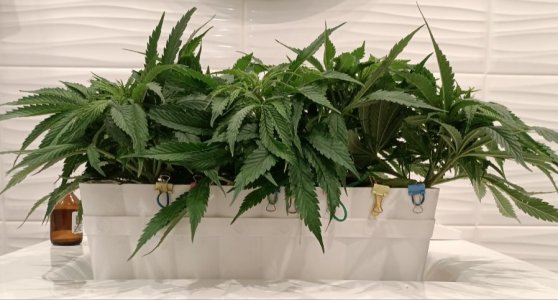 imgonline-com-ua-dexifhBIVsBBzDb58.jpg imgonline-com-ua-dexifhBIVsBBzDb58.jpg