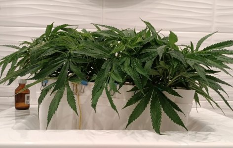 imgonline-com-ua-dexifO4Z6hbK95wBa.jpg imgonline-com-ua-dexifO4Z6hbK95wBa.jpg