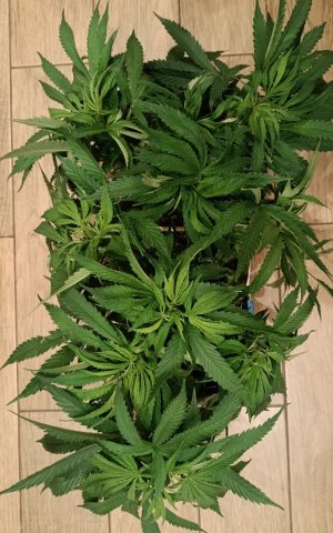 imgonline-com-ua-dexifA08stH1AUH3C.jpg imgonline-com-ua-dexifA08stH1AUH3C.jpg