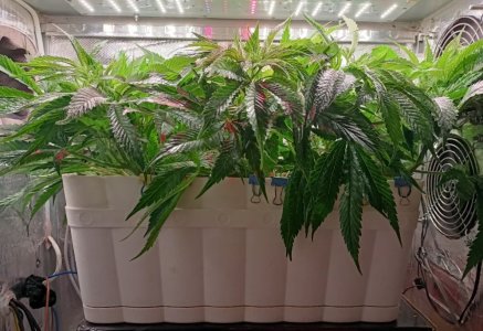 imgonline-com-ua-dexif4FhRBnEKLAjQ.jpg imgonline-com-ua-dexif4FhRBnEKLAjQ.jpg