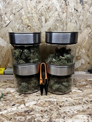 FBDC43D4-5E94-495E-BD51-CF00F8006E12.jpeg FBDC43D4-5E94-495E-BD51-CF00F8006E12.jpeg