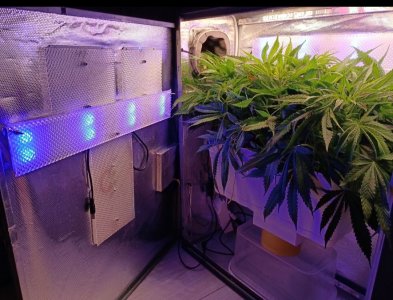 imgonline-com-ua-dexif5t4VQsT0ACY4.jpg imgonline-com-ua-dexif5t4VQsT0ACY4.jpg