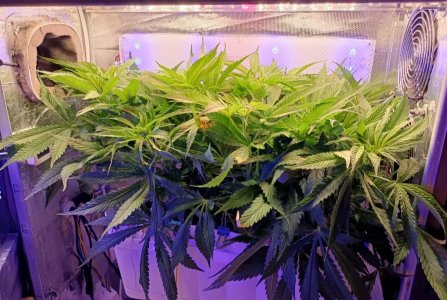 imgonline-com-ua-dexifQ9OuWzu7qZzq.jpg imgonline-com-ua-dexifQ9OuWzu7qZzq.jpg