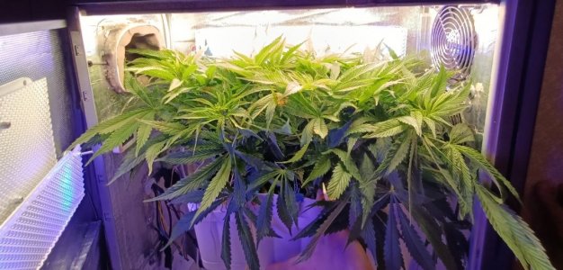 imgonline-com-ua-dexif2d9XTvdF5drY.jpg imgonline-com-ua-dexif2d9XTvdF5drY.jpg