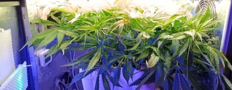 imgonline-com-ua-dexif1jf0PkCmVHZ6.jpg imgonline-com-ua-dexif1jf0PkCmVHZ6.jpg