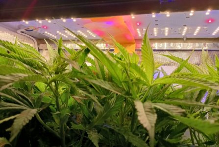 imgonline-com-ua-dexifJInLoFq4KsKD.jpg imgonline-com-ua-dexifJInLoFq4KsKD.jpg