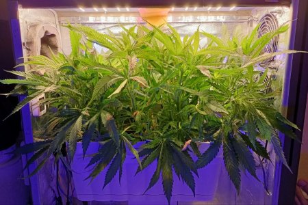 imgonline-com-ua-dexifhv65lFpZ6YeN.jpg imgonline-com-ua-dexifhv65lFpZ6YeN.jpg