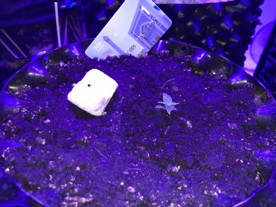 20221128_180750044_iOS.jpg 20221128_180750044_iOS.jpg