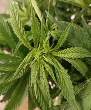 imgonline-com-ua-dexifzD4Zdcaj2N9k.jpg imgonline-com-ua-dexifzD4Zdcaj2N9k.jpg