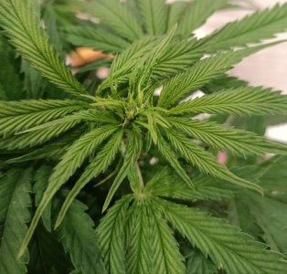 imgonline-com-ua-dexif3BK375LEcKf6.jpg imgonline-com-ua-dexif3BK375LEcKf6.jpg