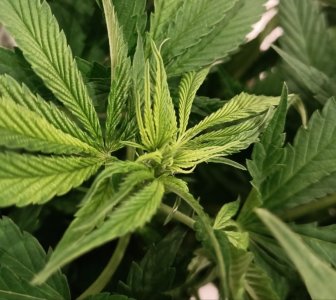 imgonline-com-ua-dexif2C8ZfkSyKgJT.jpg imgonline-com-ua-dexif2C8ZfkSyKgJT.jpg