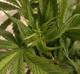 imgonline-com-ua-dexifOImWGEV0iOC5.jpg imgonline-com-ua-dexifOImWGEV0iOC5.jpg