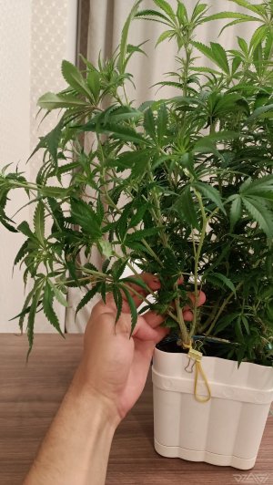 imgonline-com-ua-dexifKv5xoXyzGjXA.jpg.e41f9b8a94146dcbb4a429824a1120bd.jpg imgonline-com-ua-dexifKv5xoXyzGjXA.jpg.e41f9b8a94146dcbb4a429824a1120bd.jpg