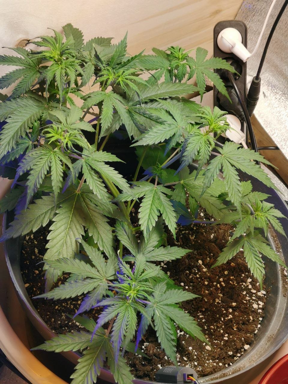 14 — копия.jpg