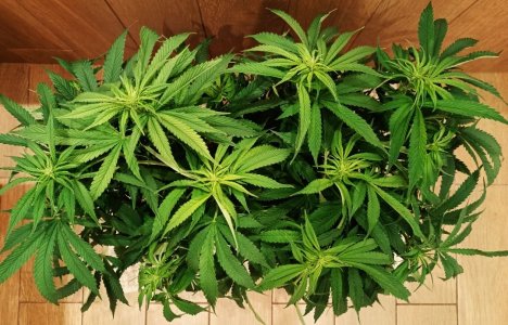 imgonline-com-ua-dexifwgm2VJTwkVCP.jpg imgonline-com-ua-dexifwgm2VJTwkVCP.jpg