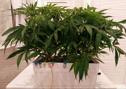 imgonline-com-ua-dexifOvfimZ0G54cg.jpg imgonline-com-ua-dexifOvfimZ0G54cg.jpg