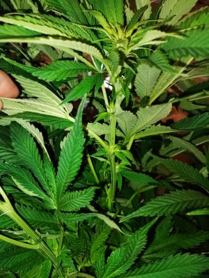 imgonline-com-ua-dexifbz4Q8ZJKUMZY.jpg imgonline-com-ua-dexifbz4Q8ZJKUMZY.jpg