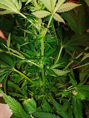 imgonline-com-ua-dexifydVxl3ROhX9w.jpg imgonline-com-ua-dexifydVxl3ROhX9w.jpg