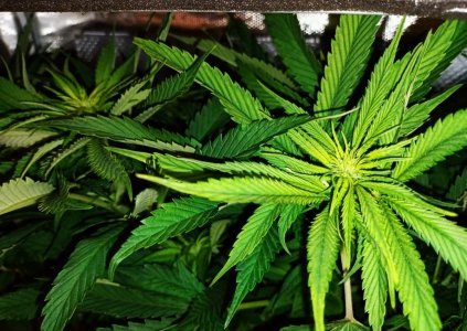 imgonline-com-ua-dexify6b0Zl3kiZS5.jpg imgonline-com-ua-dexify6b0Zl3kiZS5.jpg