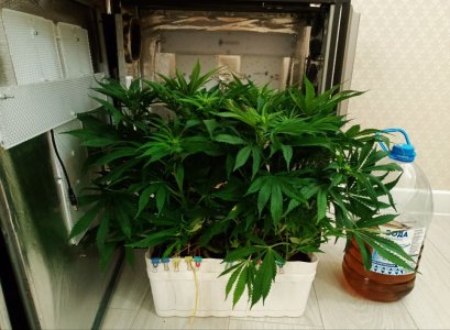 imgonline-com-ua-dexifDQoDbcYl1xeE.jpg imgonline-com-ua-dexifDQoDbcYl1xeE.jpg