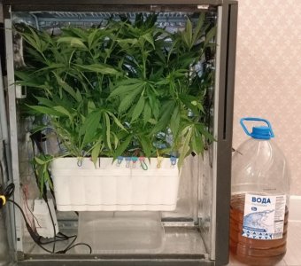 imgonline-com-ua-dexiffto9U1VhSObQ.jpg imgonline-com-ua-dexiffto9U1VhSObQ.jpg