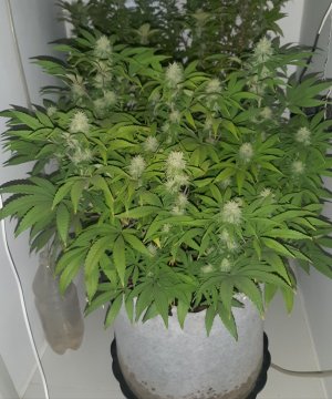 20221228_094457.jpg 20221228_094457.jpg