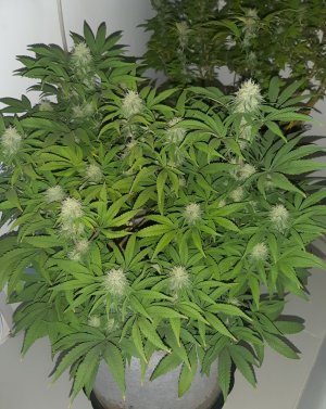 20221228_094439.jpg 20221228_094439.jpg