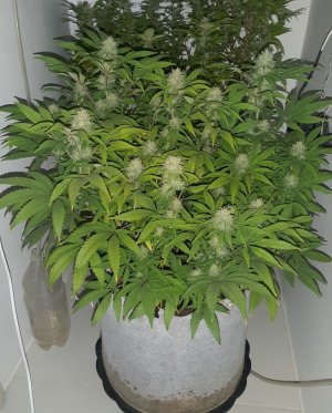 20221228_094253.jpg 20221228_094253.jpg