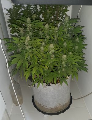 20221228_094237.jpg 20221228_094237.jpg