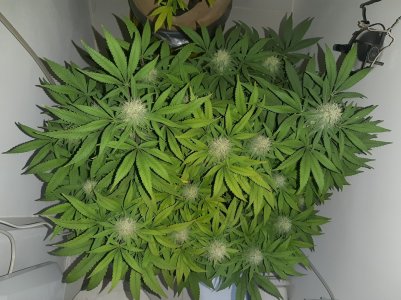 20221228_094210.jpg 20221228_094210.jpg