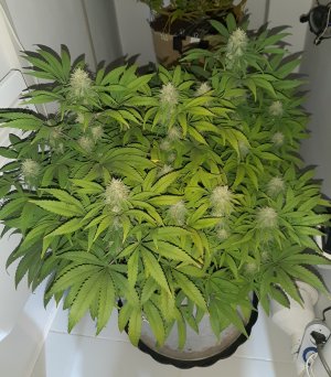 20221228_094157.jpg 20221228_094157.jpg