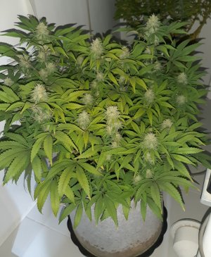 20221228_094139.jpg 20221228_094139.jpg