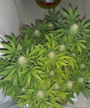 20221228_094118.jpg 20221228_094118.jpg