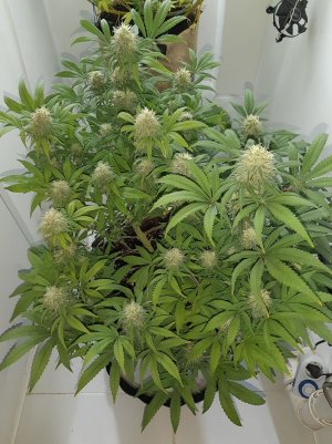 20221228_103011.jpg 20221228_103011.jpg