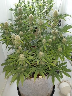 20221228_103000.jpg 20221228_103000.jpg