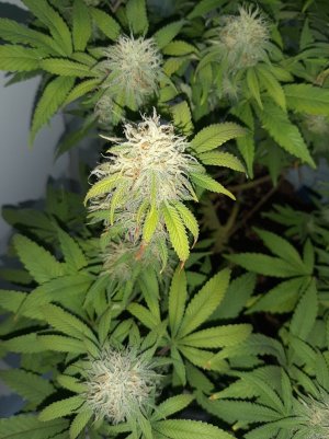 20221228_102946.jpg 20221228_102946.jpg