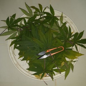 20221228_102921.jpg 20221228_102921.jpg