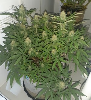 20221228_102756.jpg 20221228_102756.jpg