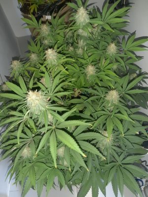 20221228_102716.jpg 20221228_102716.jpg