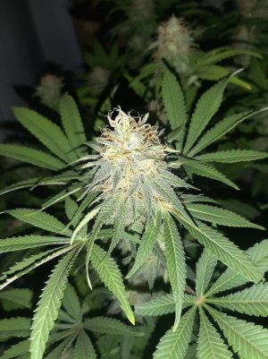 20221228_102649.jpg 20221228_102649.jpg