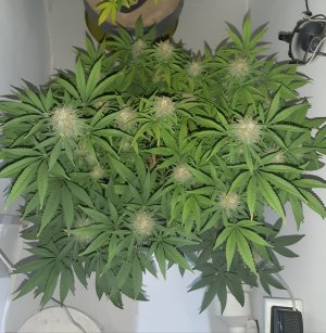 20221228_114141.jpg 20221228_114141.jpg