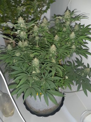 20221228_114107.jpg 20221228_114107.jpg