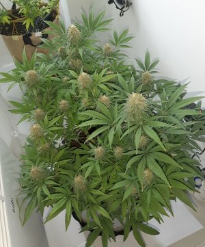 20221228_113938.jpg 20221228_113938.jpg