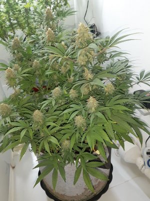 20221228_113917.jpg 20221228_113917.jpg